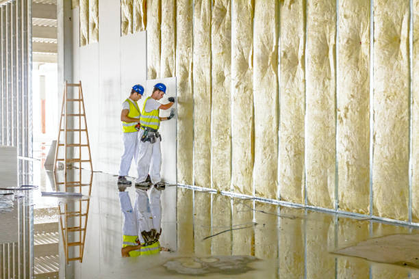 Best Insulation Installation Services in Cherokee Village, AR